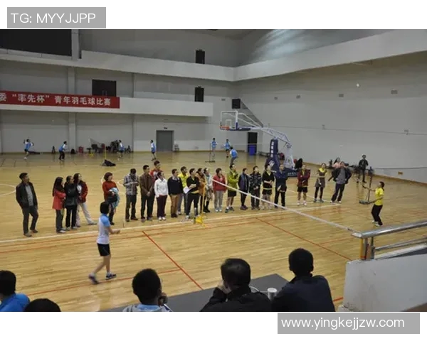 南京羽毛球队团队协作的力量与精神探讨