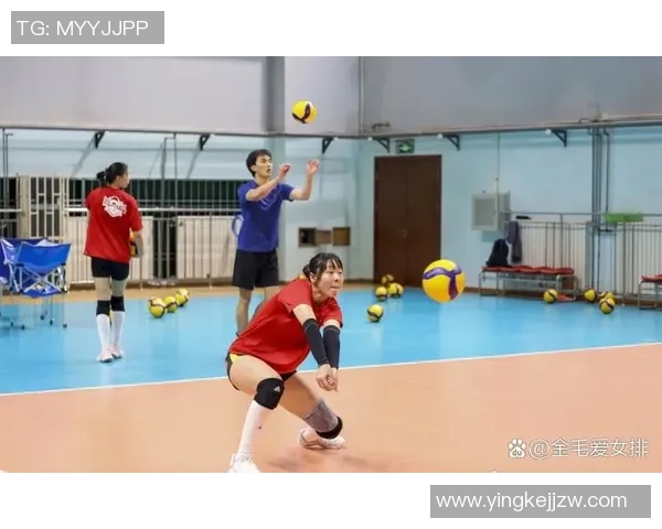 排球热点：解读上海排球队的区域防守
