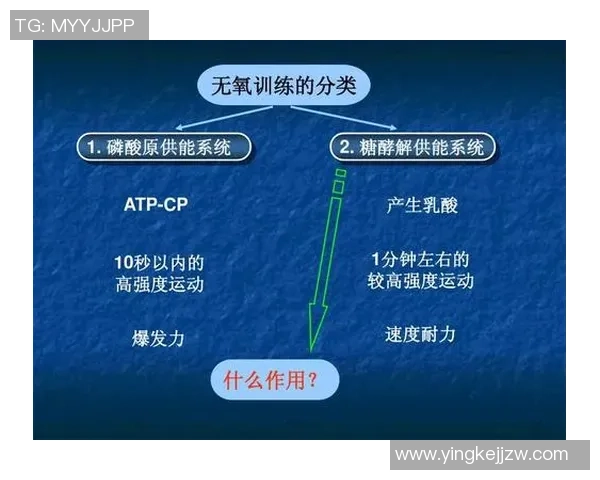 羽毛球战术：南京羽毛球队的转换体系
