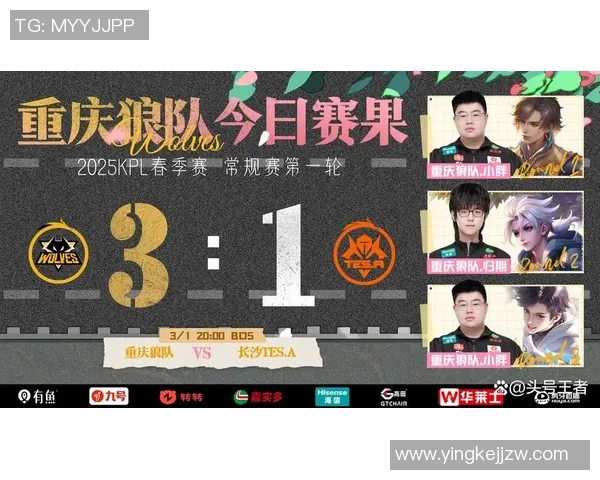 数据分析：TES的团队协作表现