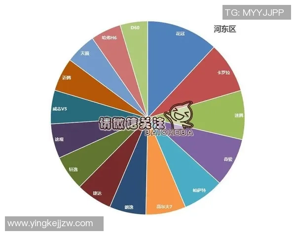 独家分析：武汉乒乓球队的节奏对比