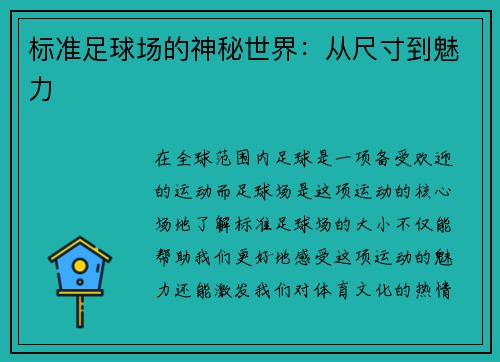 标准足球场的神秘世界：从尺寸到魅力