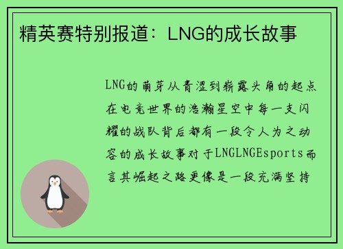 精英赛特别报道：LNG的成长故事