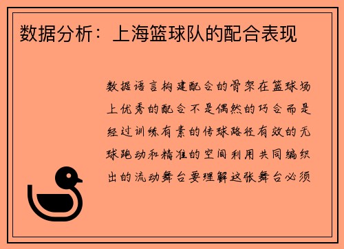 数据分析：上海篮球队的配合表现